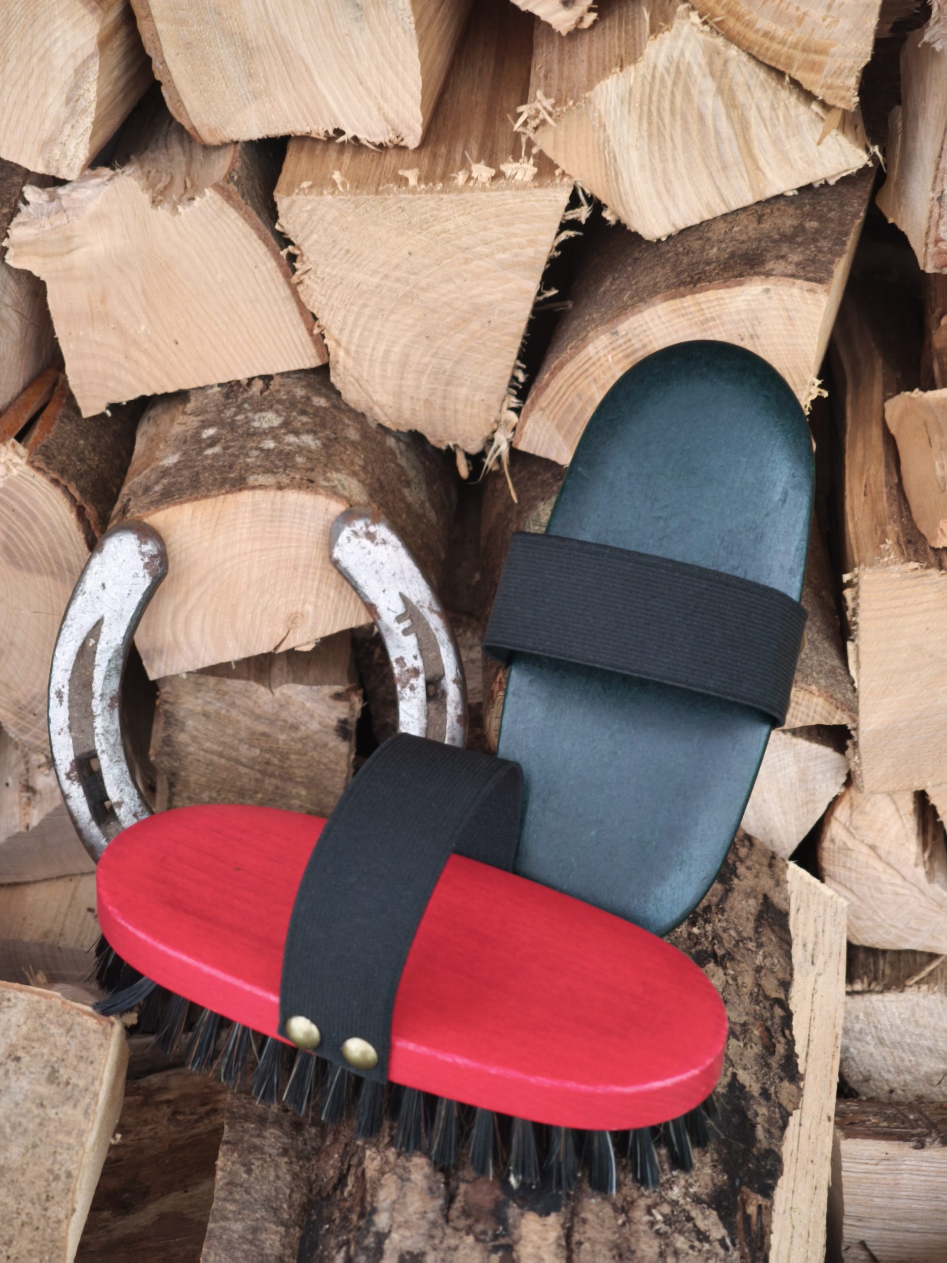 Jugendkardätsche – Bild 2