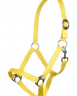 Halfter – Stars Economy Softice –