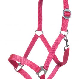 Halfter – Stars Economy Softice –