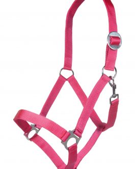 Halfter – Stars Economy Softice –